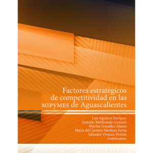 FACTORES ESTRATÉGICOS DE COMPETITIVIDAD EN LAS MIPYMES DE AGUASCALIENTES
