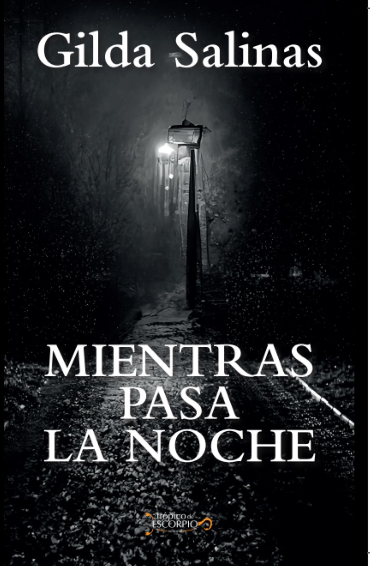 MIENTRAS PASA LA NOCHE