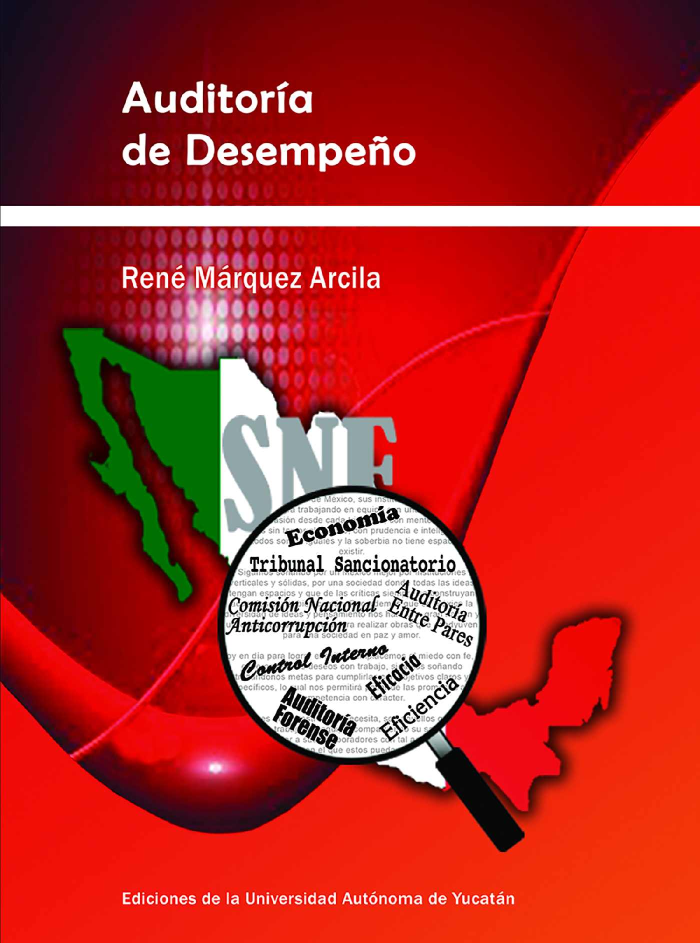 AUDITORÍA DE DESEMPEÑO