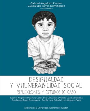 DESIGUALDAD Y VULNERABILIDAD SOCIAL