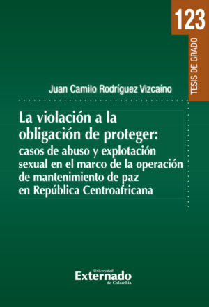 LA VIOLACIÓN A LA OBLIGACIÓN DE PROTEGER: CASOS DE ABUSO Y EXPLOTACIÓN SEXUAL EN EL MAR