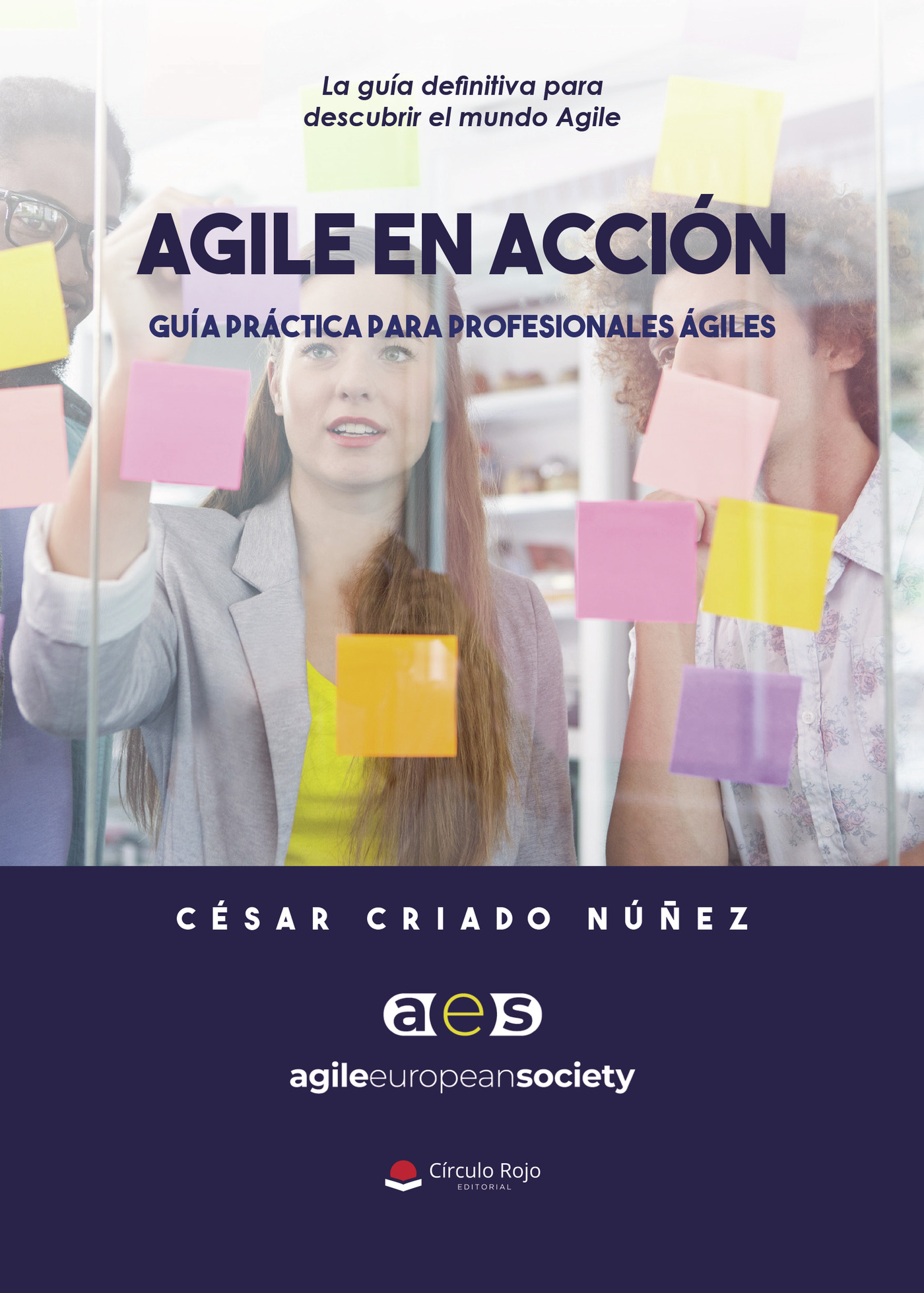 AGILE EN ACCIÓN. GUÍA PRÁCTICA PARA PROFESIONALES ÁGILES