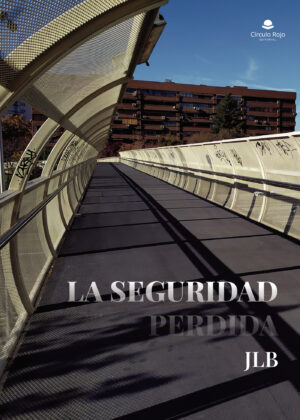 LA SEGURIDAD PERDIDA
