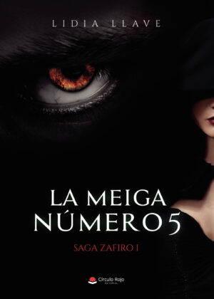 LA MEIGA NÚMERO CINCO