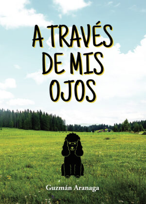 A TRAVÉS DE MIS OJOS