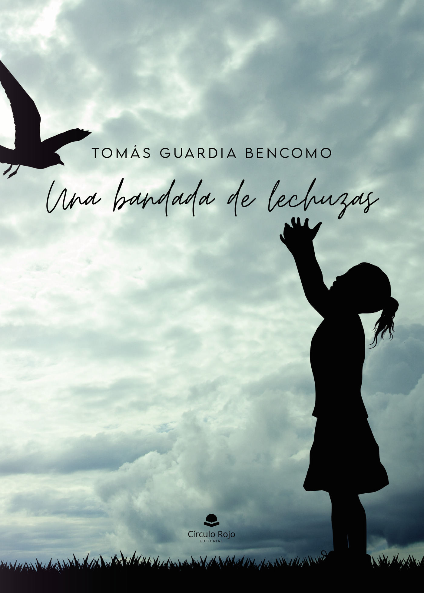 UNA BANDADA DE LECHUZAS