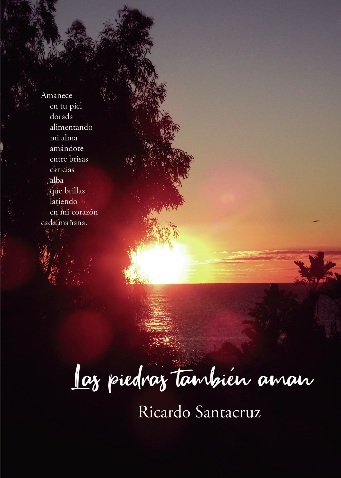 LAS PIEDRAS TAMBIEN AMAN