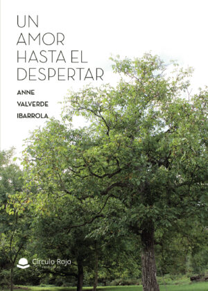 UN AMOR HASTA EL DESPERTAR