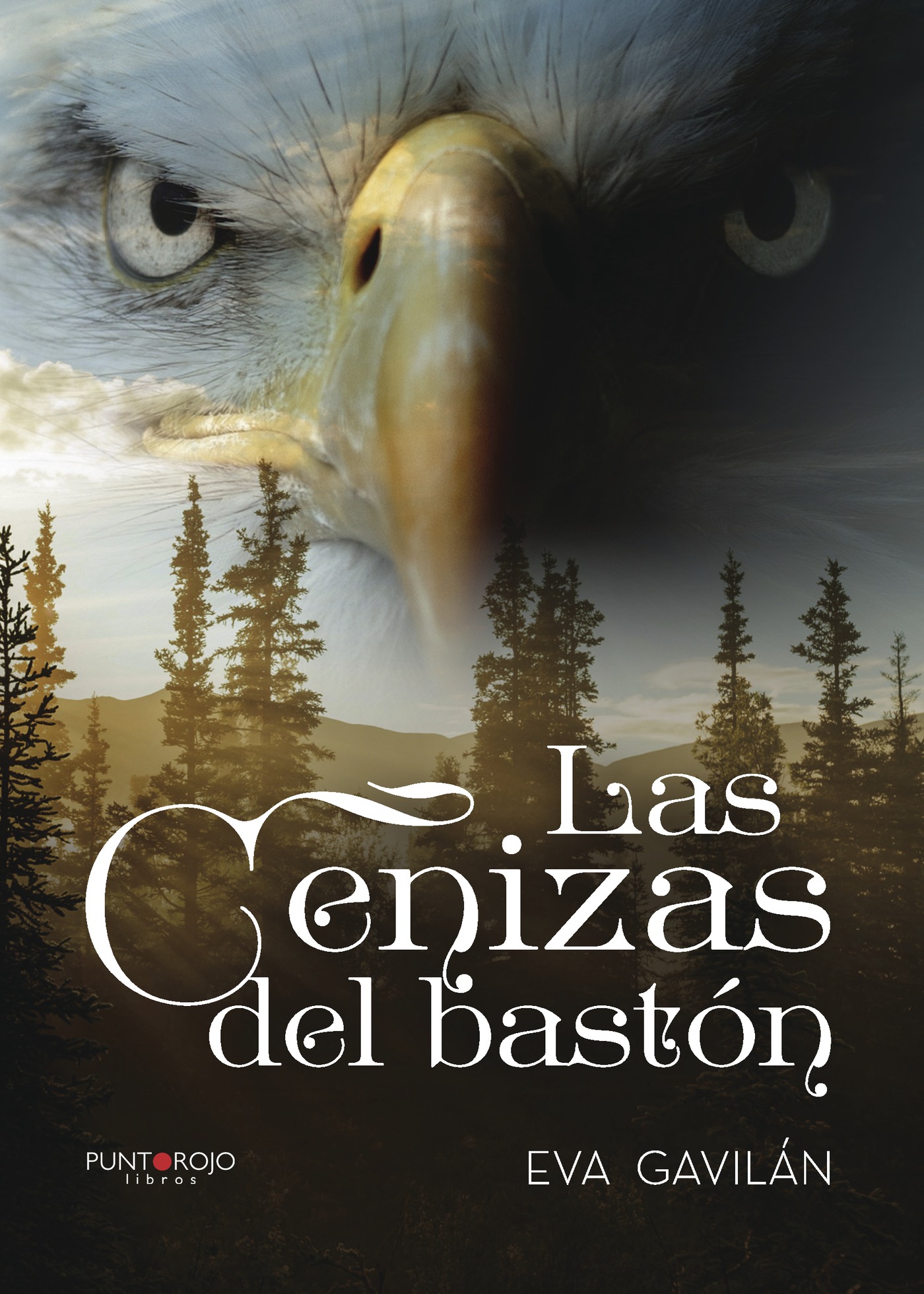 LAS CENIZAS DEL BASTÓN