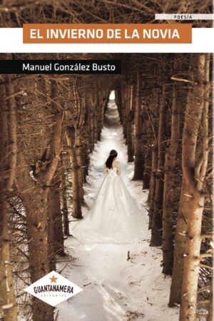 EL INVIERNO DE LA NOVIA