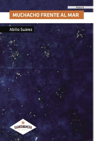 MUCHACHO FRENTE AL MAR