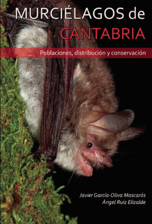 MURCIÉLAGOS DE CANTABRIA