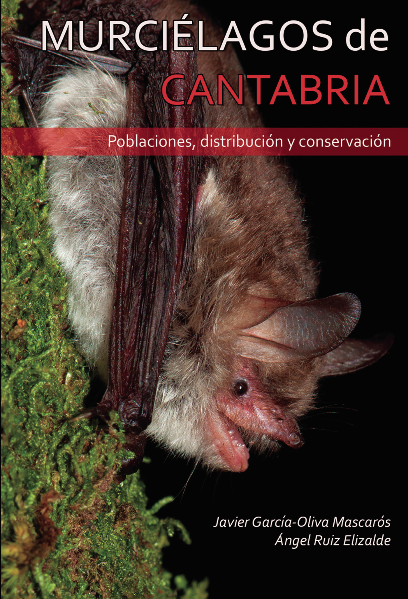 MURCIÉLAGOS DE CANTABRIA