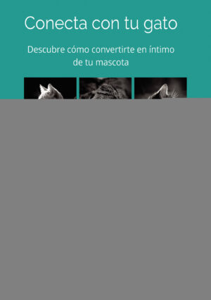 CONECTA CON TU GATO