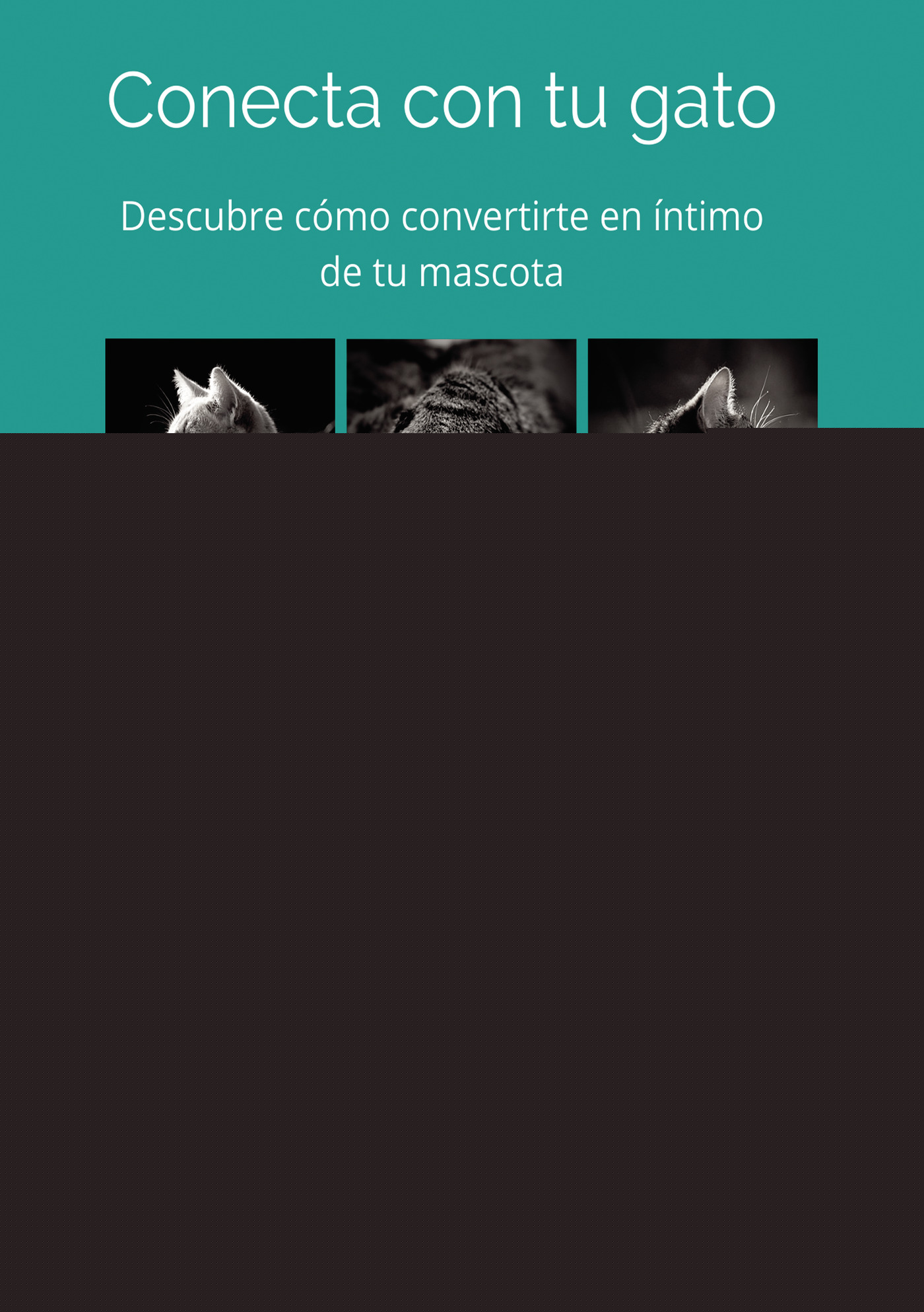 CONECTA CON TU GATO