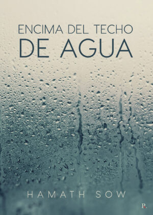 ENCIMA DEL TECHO DE AGUA