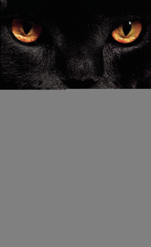 CON MIS OJOS DE GATA