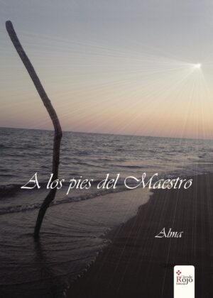 A LOS PIES DEL MAESTRO