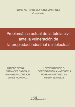 PROBLEMÁTICA ACTUAL DE LA TUTELA CIVIL ANTE LA VULNERACIÓN DE LA PROPIEDAD INDUSTRIAL E