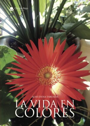 LA VIDA EN COLORES