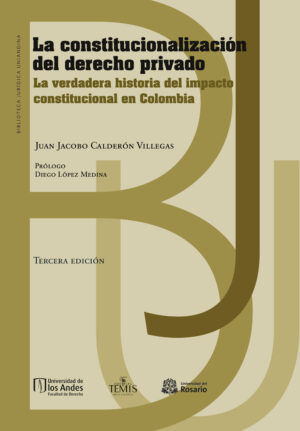 LA CONSTITUCIONALIZACIÓN DEL DERECHO PRIVADO
