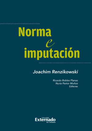 NORMA E IMPUTACIÓN