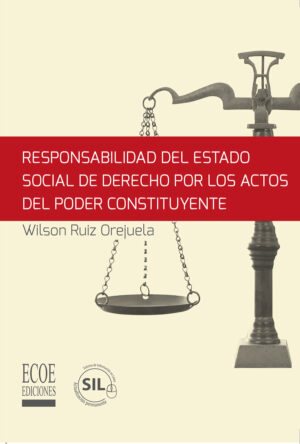 RESPONSABILIDAD DEL ESTADO SOCIAL DE DERECHO POR LOS ACTOS DEL PODER CONSTITUYENTE