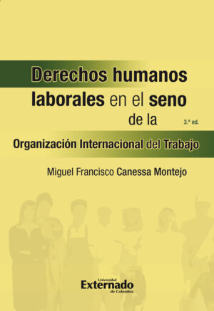 DERECHOS HUMANOS LABORALES EN EL SENO DE LA ORGANIZACIÓN INTERNACIONAL DEL TRABAJO. 3A ED