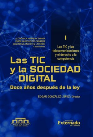 LAS TIC Y LA SOCIEDAD DIGITAL. DOCE AÑOS DESPUÉS DE LA LEY. TOMO I