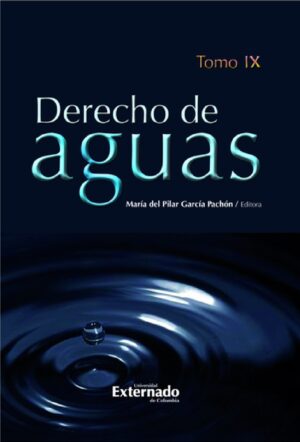 DERECHO DE AGUAS. TOMO IX