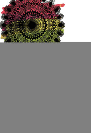 TRANSICIÓN Y DEMOCRACIA EN PARAGUAY (1989-2017)