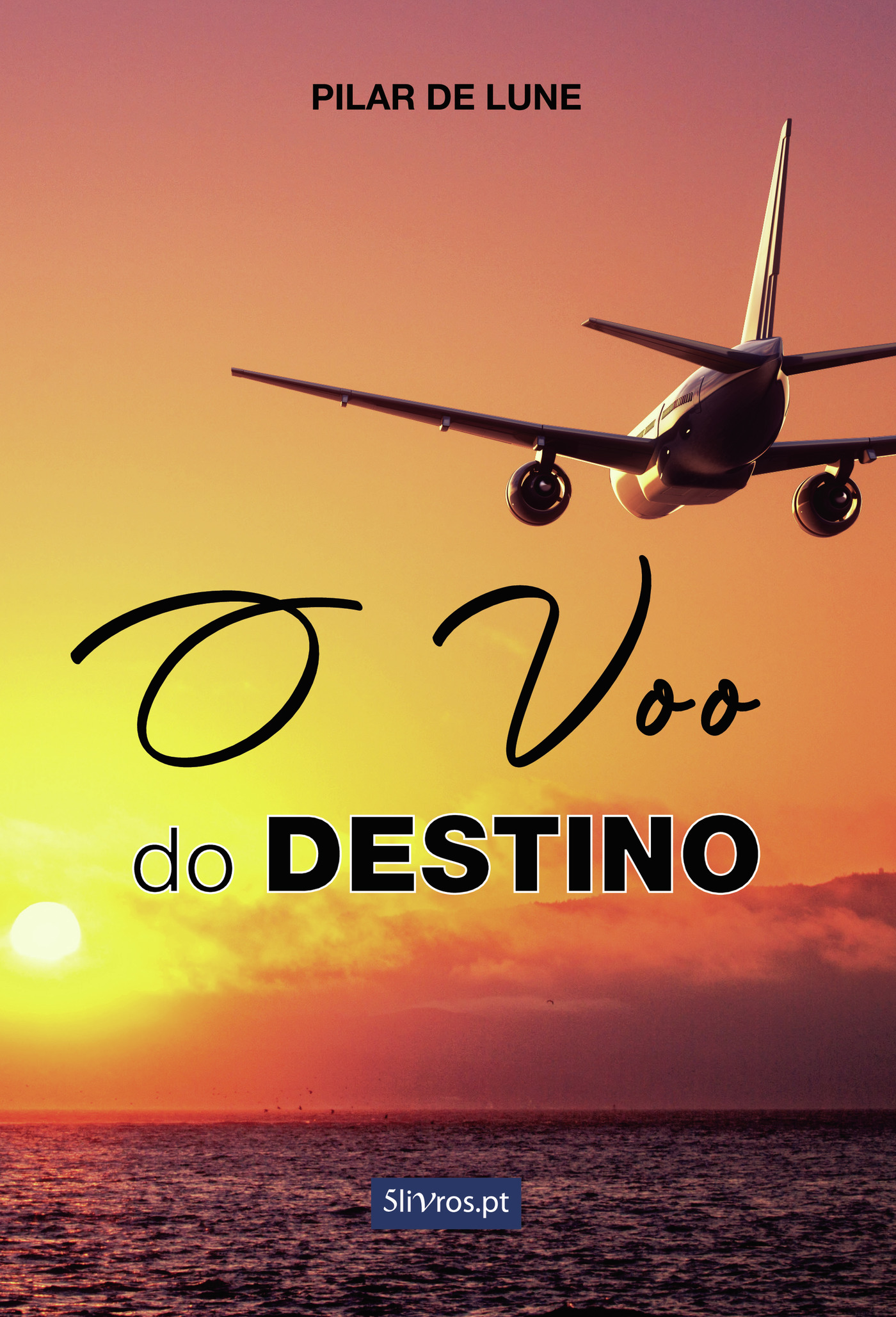 O VOO DO DESTINO