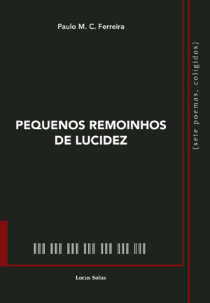 PEQUENOS REMOINHOS DE LUCIDEZ