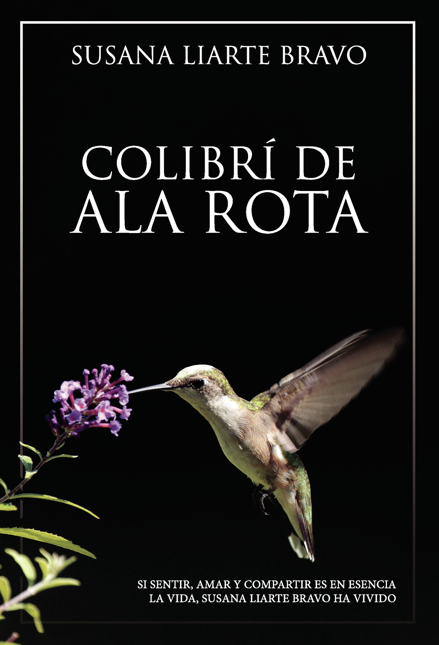 COLIBRÍ DE ALA ROTA