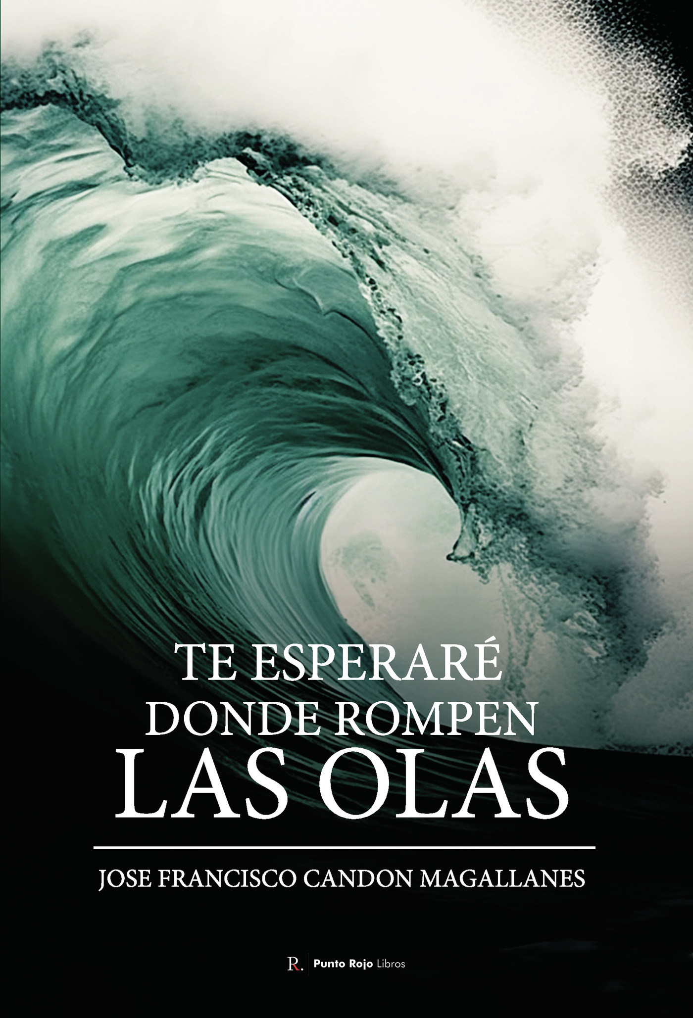 TE ESPERARÉ DONDE ROMPEN LAS OLAS