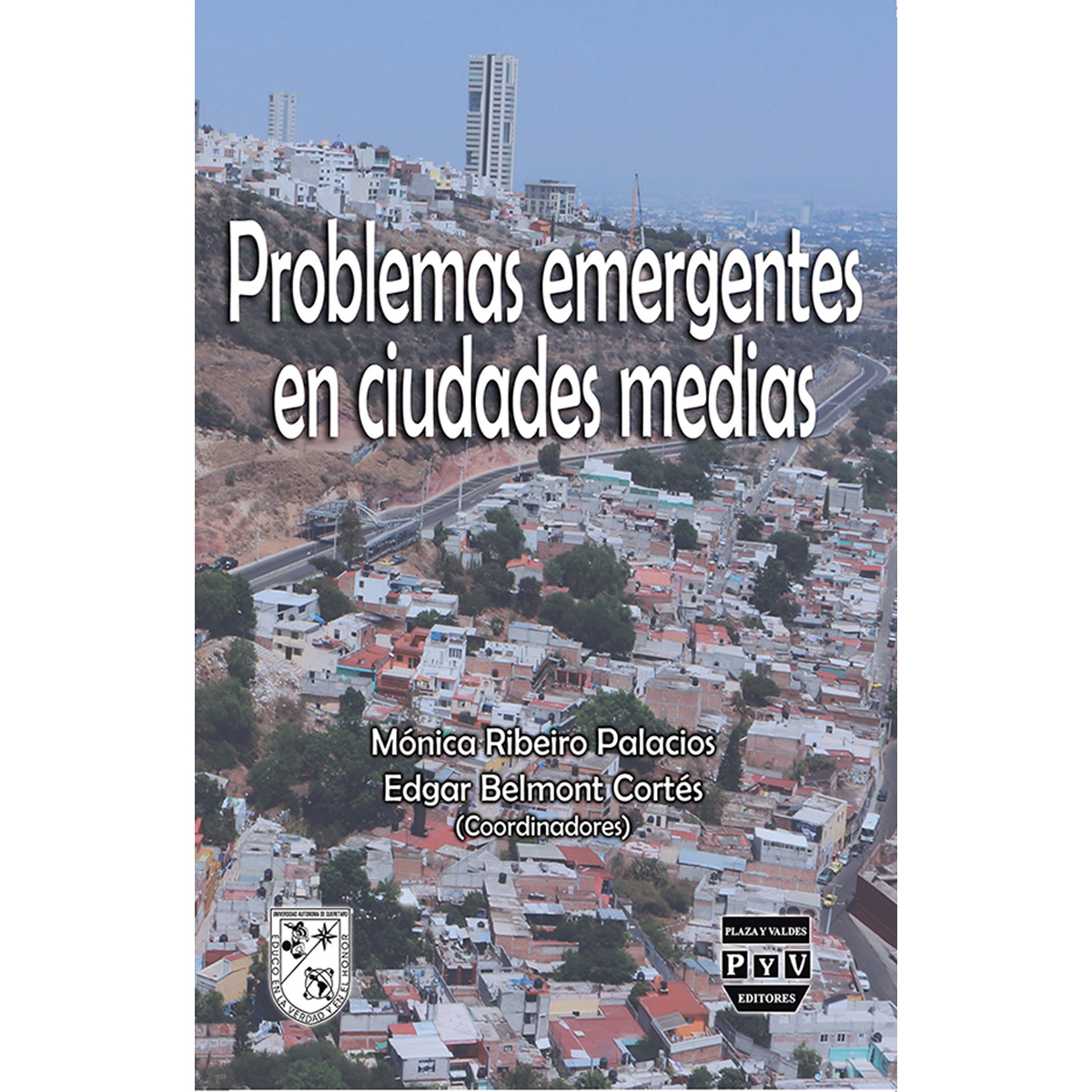 PROBLEMAS EMERGENTES EN CIUDADES MEDIAS
