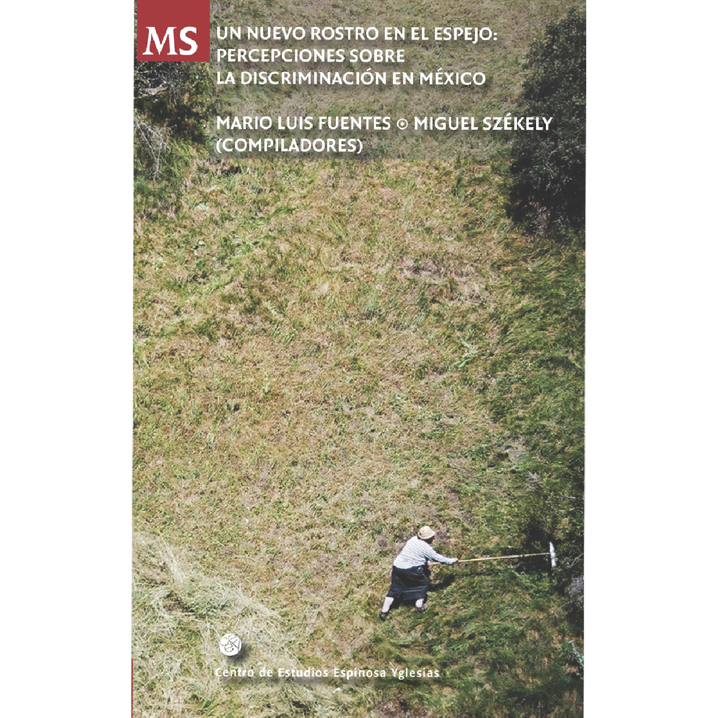 UN NUEVO ROSTRO EN EL ESPEJO