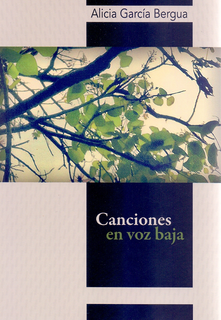 CANCIONES EN VOZ BAJA