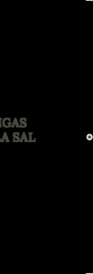 HORMIGAS SOBRE LA SAL