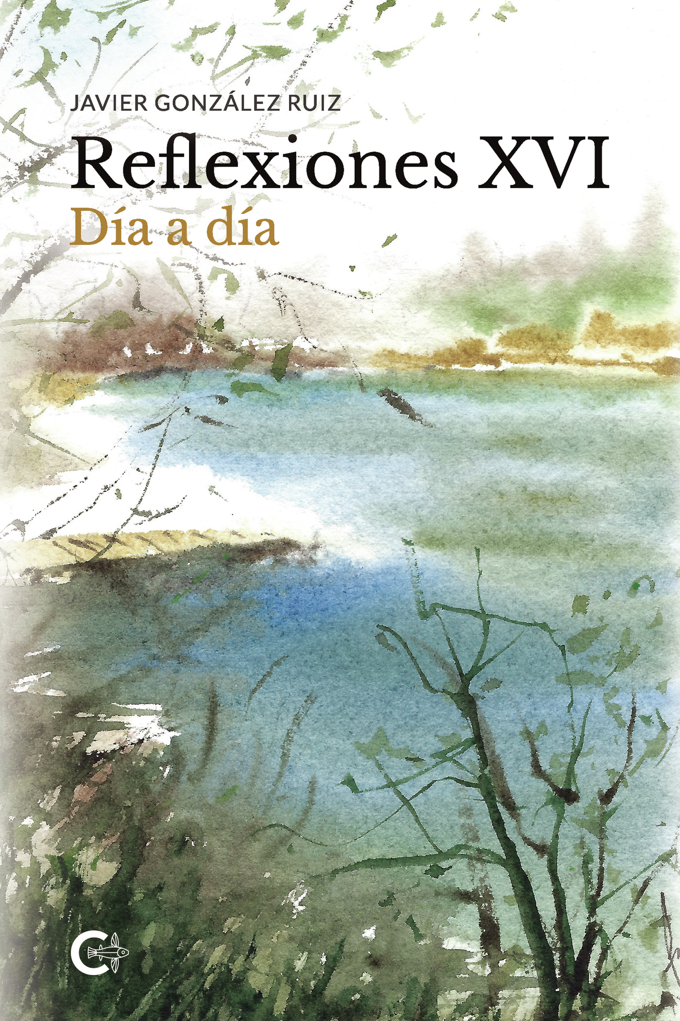 REFLEXIONES XVI