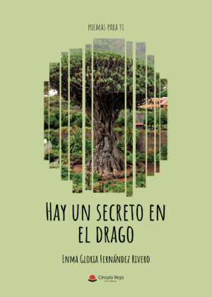 HAY UN SECRETO EN EL DRAGO