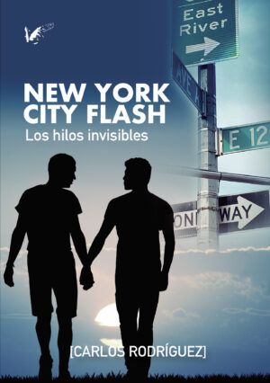 NEW YORK CITY FLASH