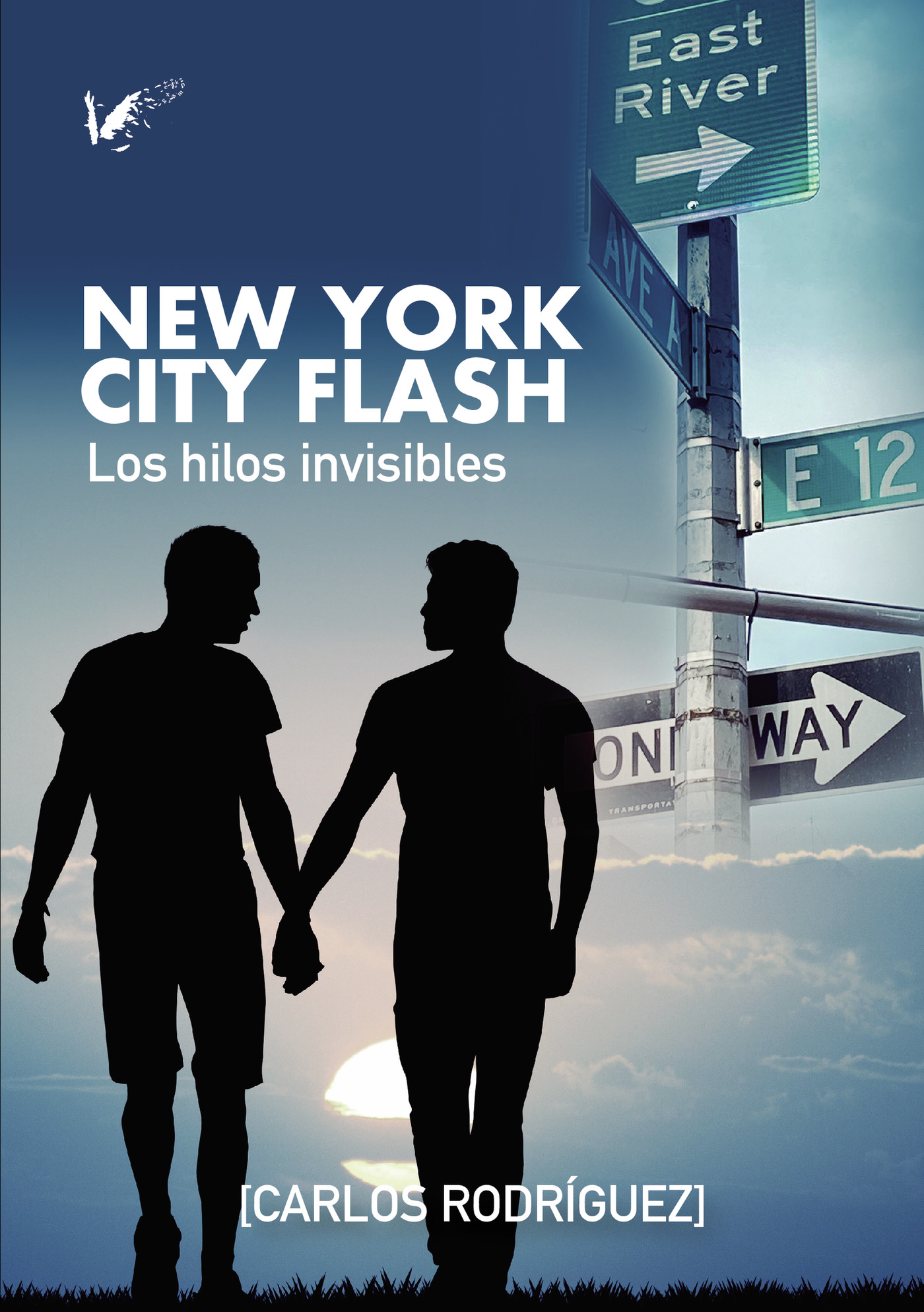 NEW YORK CITY FLASH