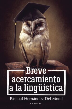 BREVE ACERCAMIENTO A LA LINGÜÍSTICA