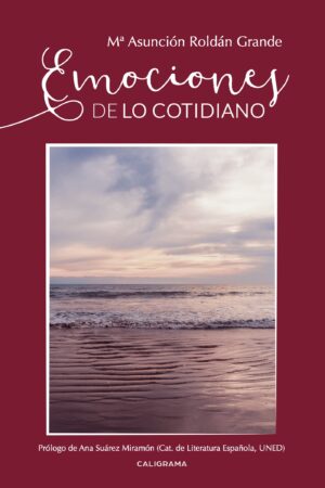 EMOCIONES DE LO COTIDIANO