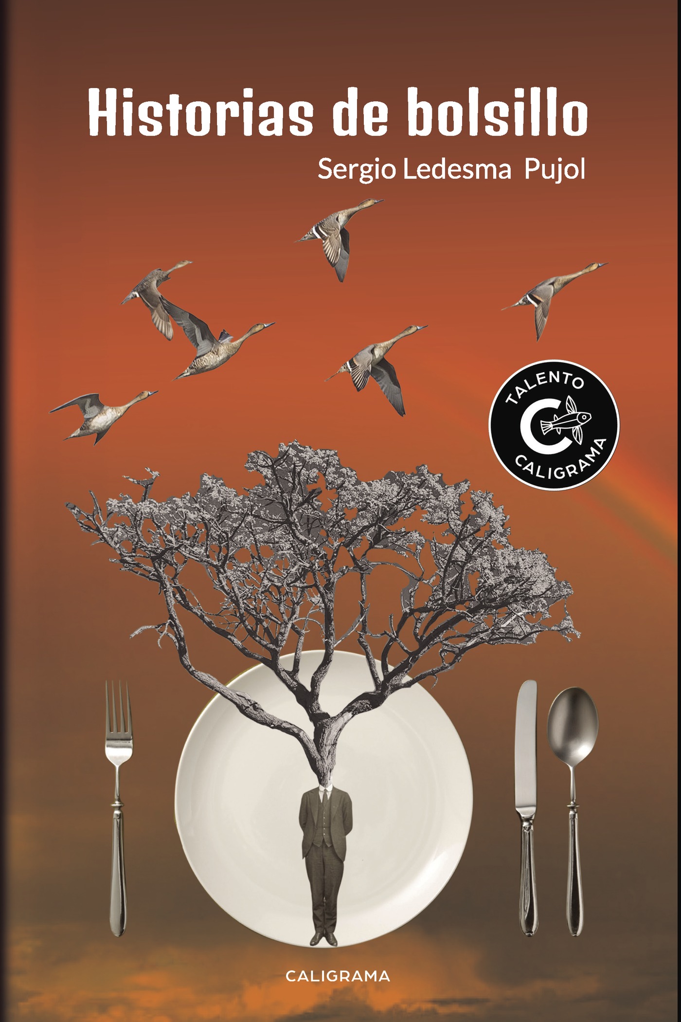 HISTORIAS DE BOLSILLO