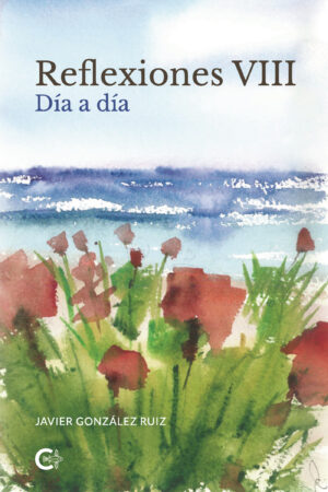 REFLEXIONES VIII