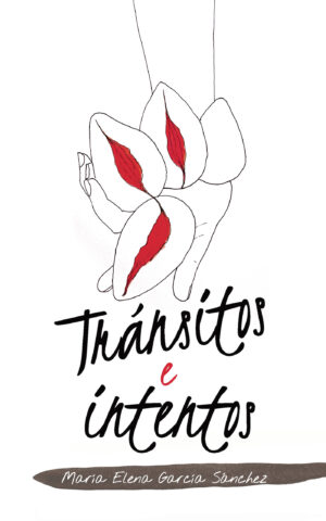 TRÁNSITOS E INTENTOS