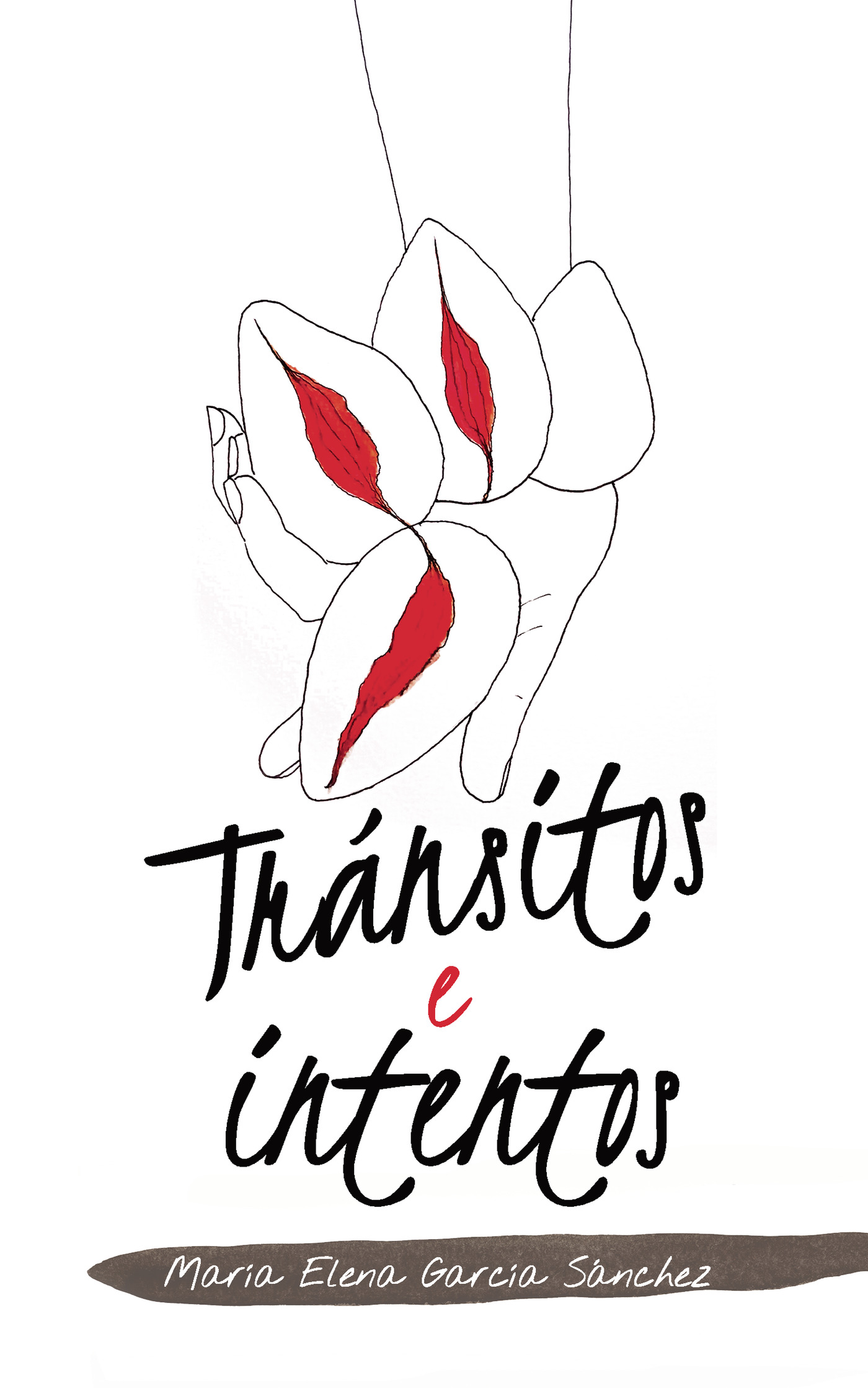 TRÁNSITOS E INTENTOS