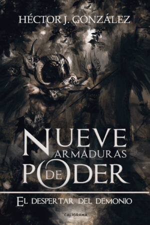 NUEVE ARMADURAS DE PODER